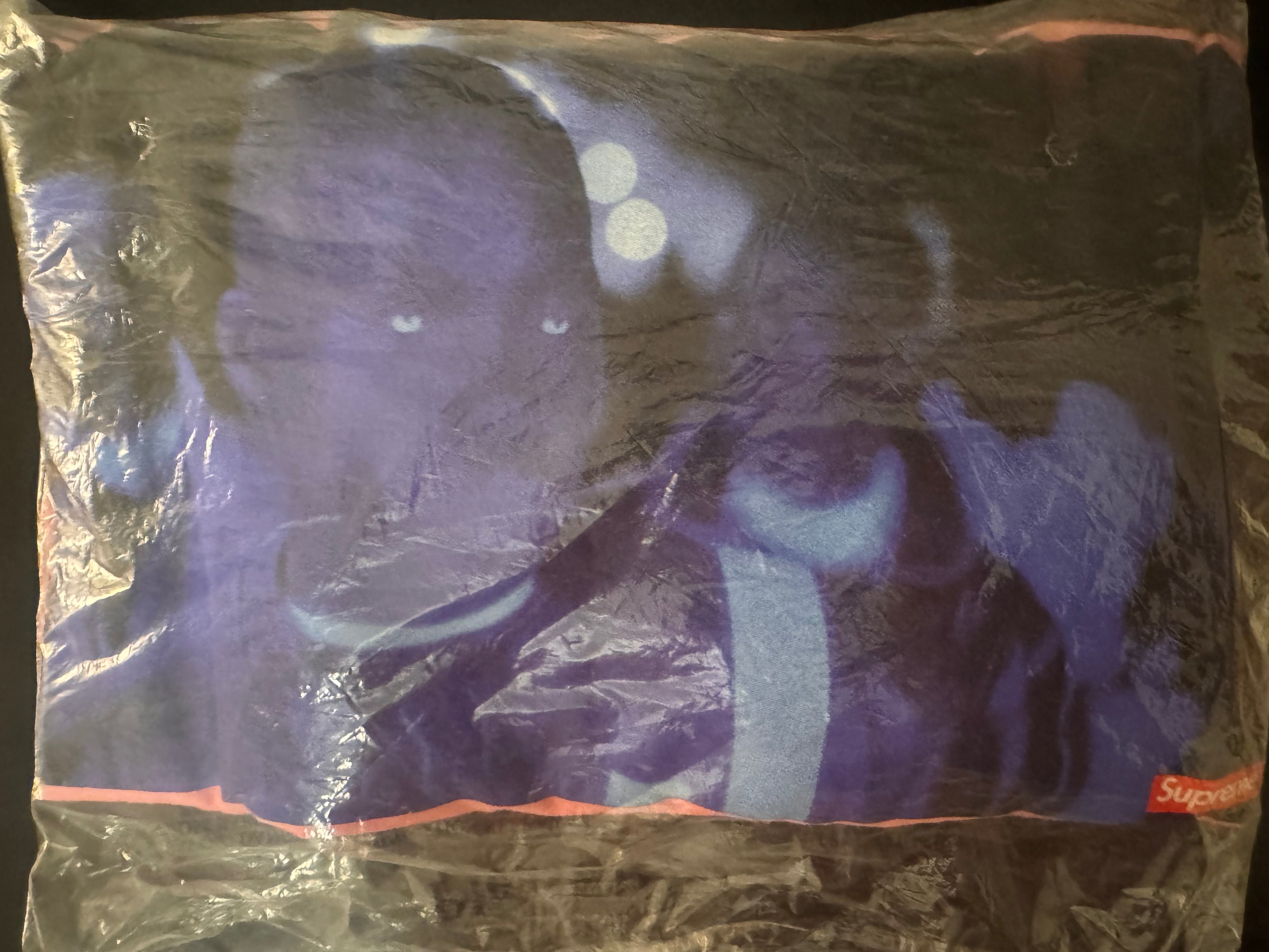 Supreme Congo Blue T Shirt (Pink) FW21 Size Large
