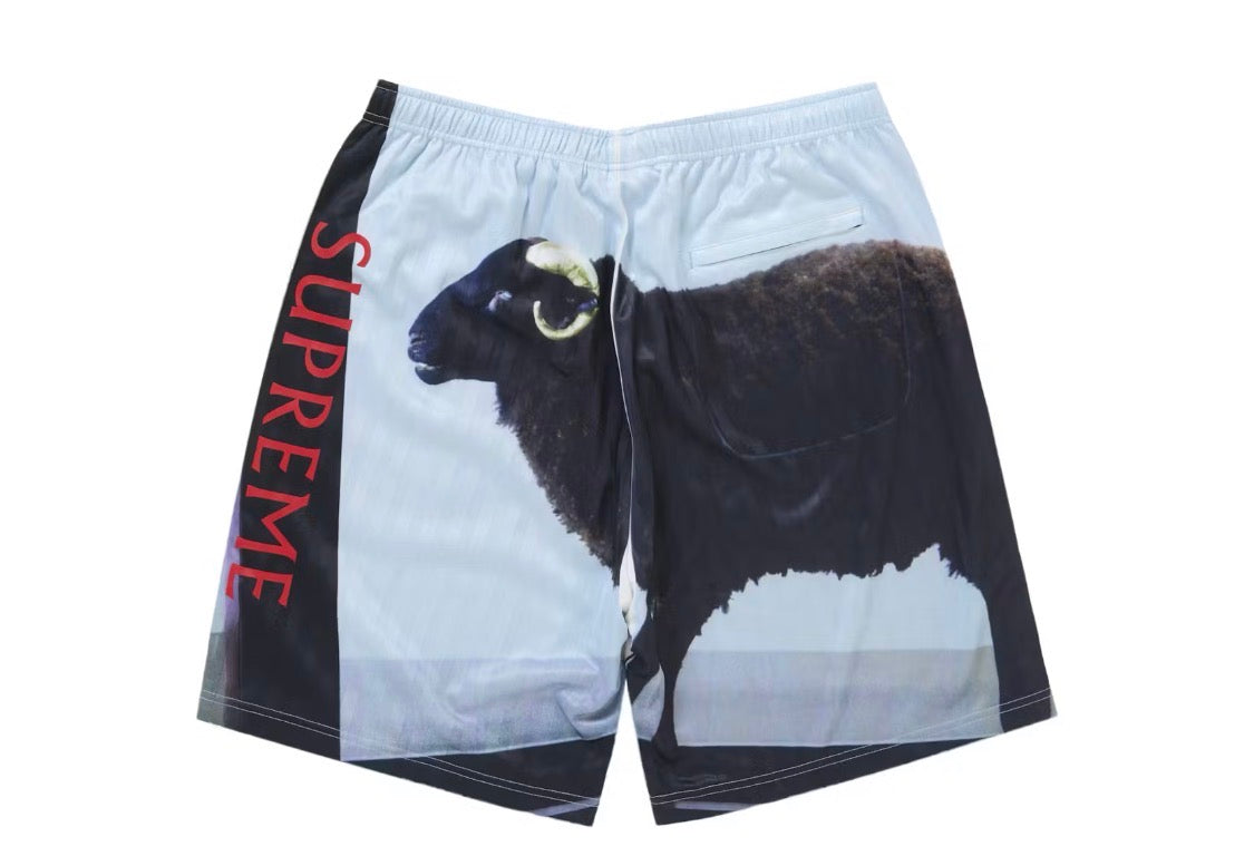 Supreme/Damien Hirst Soccer Jersey Set Size SS25 XXL