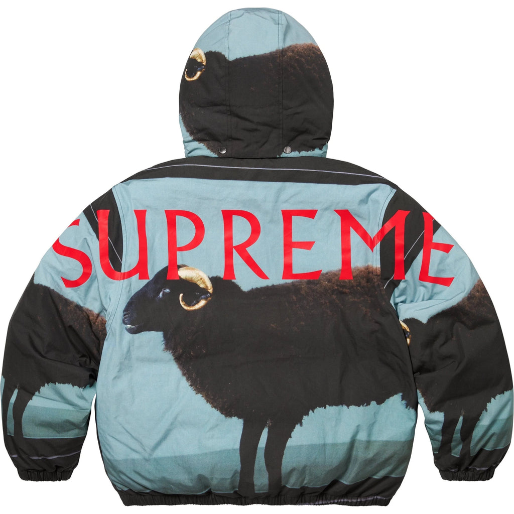 Supreme® x Damien Hirst Down Puffer Jacket SS25 Size XXL