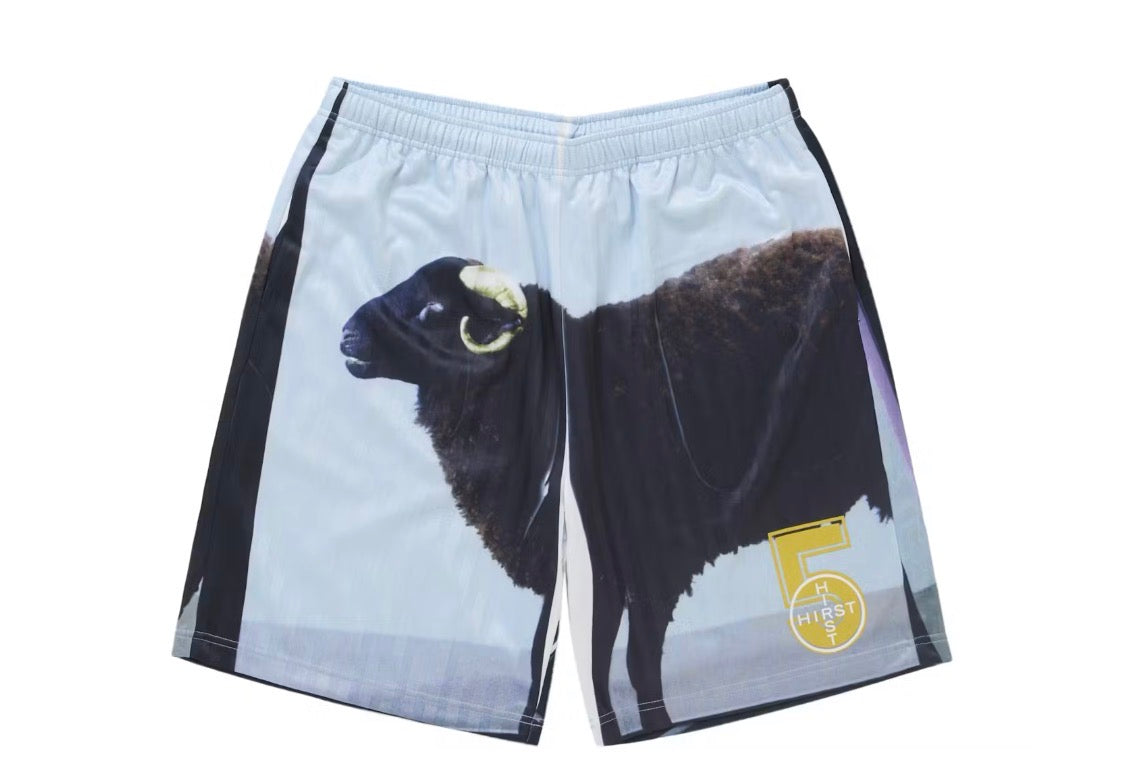 Supreme/Damien Hirst Soccer Jersey Set Size SS25 XXL